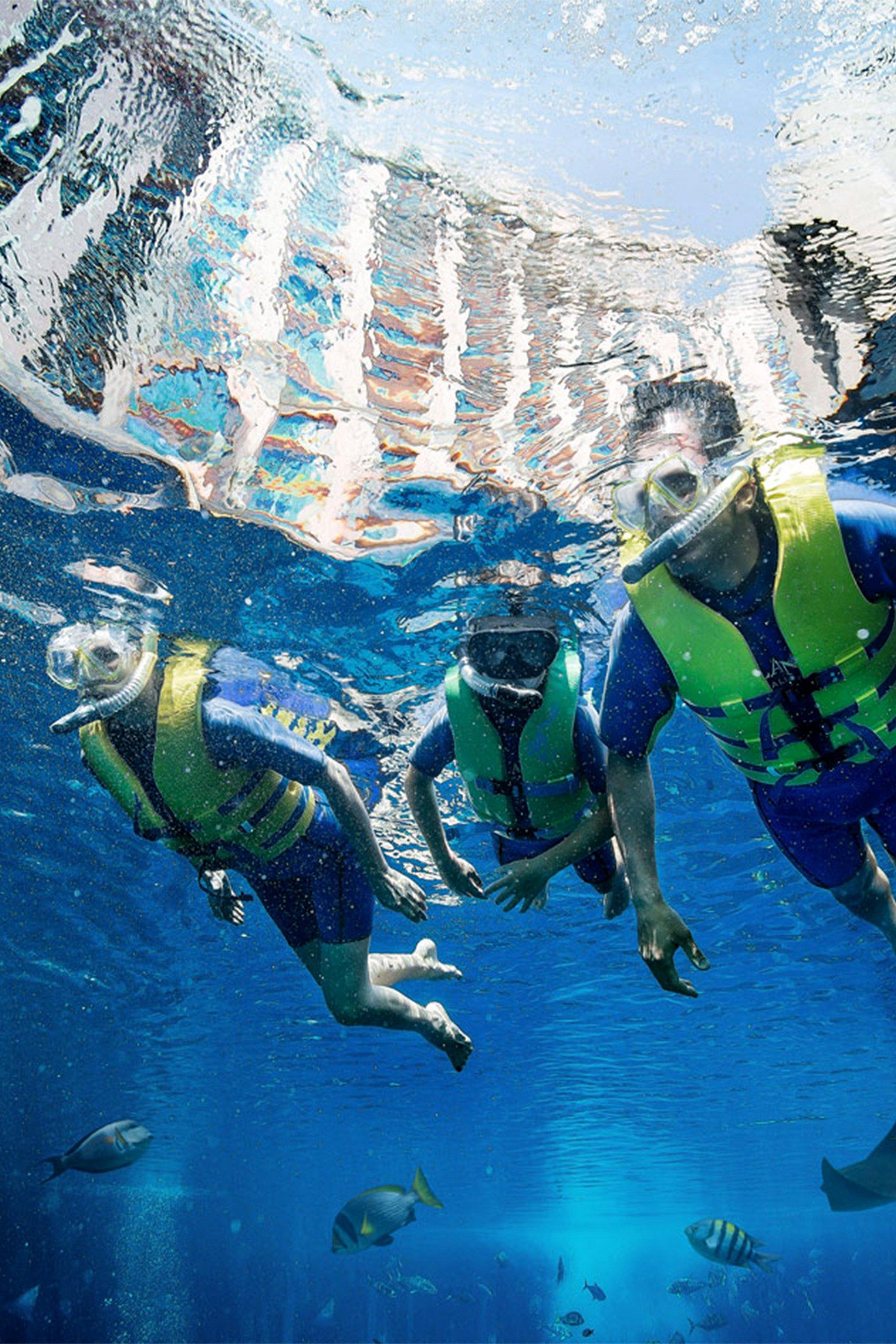 Snorkelling